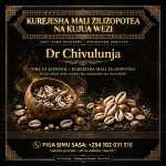 POWERFUL WITCH DOCTOR CHIVULUNJA ☎️+254102031516 FOR QUICK RELIABLE SOLUTIONS THAT WORK. Mganga wa Mapenzi, Mganga wa Kienyeji, Mganga,, Sangoma – Powerful Best Traditional Medicine Man and Astrologer - POWERFUL WITCH DOCTOR CHIVULUNJA ☎️+254102031516 FOR QUICK RELIABLE SOLUTIONS